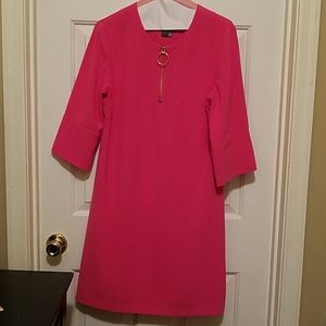 Taylor Vibrant Pink Dress